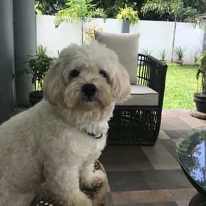 Meet your Posher, Angelee